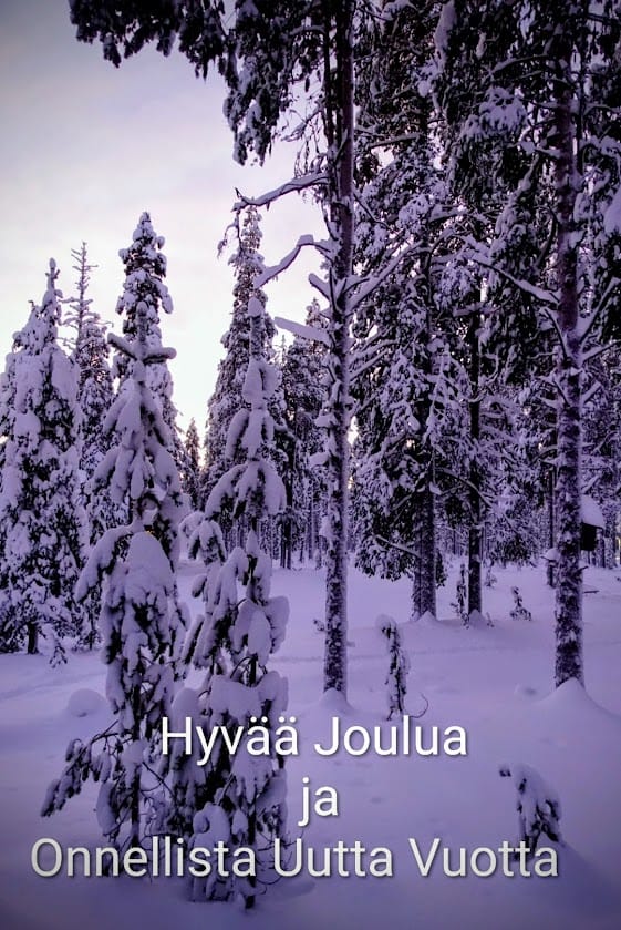 Autoliitto Tampereen seudun osasto toivottaa jäsenistölleen Hyvää Joulua